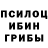 Псилоцибиновые грибы Magic Shrooms Katharina Valkrusman