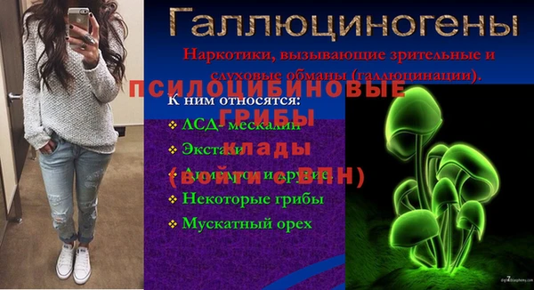 apvp Протвино
