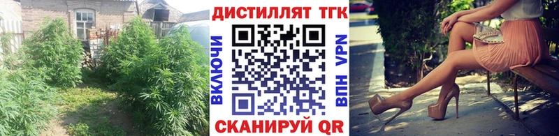 ТГК концентрат  Шилка 