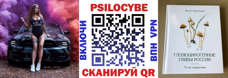 сайты даркнета состав  Шилка  Псилоцибиновые грибы ЛСД  цена  