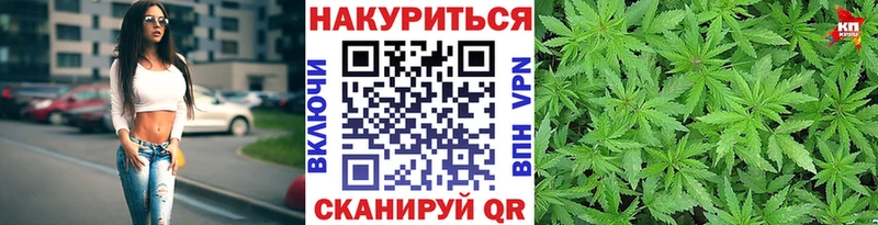 Бошки Шишки ГИДРОПОН  нарко площадка состав  Шилка  где найти наркотики 